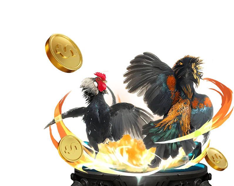 Chính sách cá cược có trách nhiệm của 13win chính thức